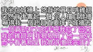 我坐在城牆上，悠哉地賞月，啃雞翅，突然背後響起一聲，何人擅自登牆，嚇得我一個趔趄，直要摔下城牆去，一個蒼勁有力的手，把我拉了回來，我的雞翅啊，我狠狠扇了他一巴掌，而今看著新皇，我覺得徹底完蛋了