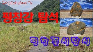 평창강 꽃돌 탐석 #K수석 #Cool #Stone TV / 수석탐석 전문 채널입니다.