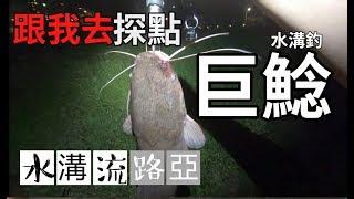 【水溝流路亞-35】[台北 釣點 ] -市區水溝釣巨鯰  | 雷強|路亞|假餌|黑魚|黑鱸 |黑鲈|海鰱|曲腰|鮕呆