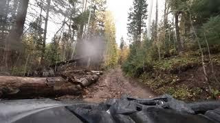 Colorado OHV Forest Road 661 / Black Mountain Road - Pagosa Springs