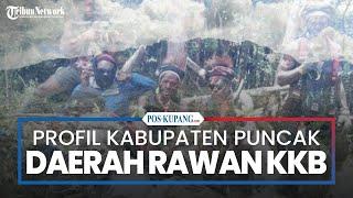 Profil Kabupaten Puncak, Daerah Rawan Aksi KKB Papua  di Papua Tengah