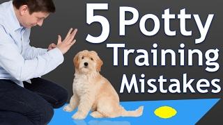 The 5 Most Common Potty Training Mistakes