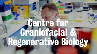 Centre for Craniofacial & Regenerative Biology | King's College London