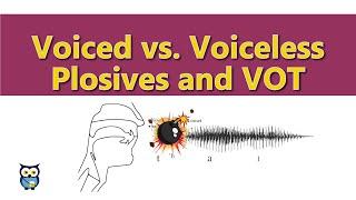 Voiced vs. Voiceless Plosives and VOT