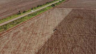 Farmers balk at prospect of EU-Mercosur free trade deal