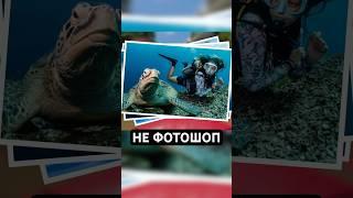 ЧЕМ ЗАНЯТЬСЯ НА БАЛИ #тревелвлог #travel