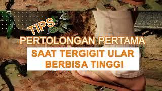 Tips Pertolongan Pertama Saat Tergigit Ular Berbisa Tinggi | OMG!! (24/05/22)