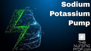 Sodium Potassium Pump