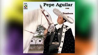 Tenia Mi Prieta - Pepe Aguilar del Álbum Con Tambora Volumen II