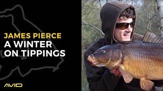 AVID CARP- A Winter on Tippings