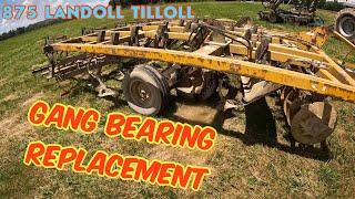 875 LANDOLL TILLOLL Gang bearing replacement