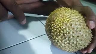 Cara Mudah Membuka Durian Menggunakan Pisau Dapur Biasa