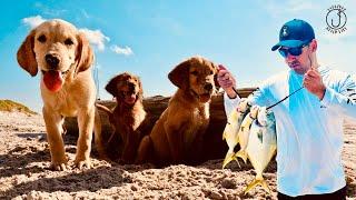 Rescuing Abandoned Puppies  Fishing Corpus Christi