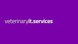 Veterinary IT Services