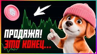 Готовьтесь к альтсезону! Увеличится ли WIF на 100%? | Прогноз | Сегодня | Крипта