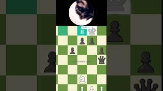 BACK RANK #checkmate #sacrifice #brilliant #edit #chess #puzzle #shorts #viral