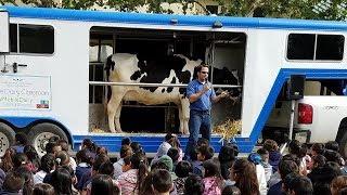 How to Bring the Dairy to the Classroom & Educate Students