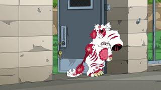 Family Guy - A wolf who claims to have read Brian's book