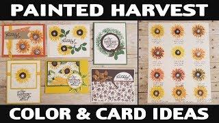 Stamping Jill - Painted Harvest Color & Card Ideas