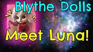 BLYTHE DOLL ACCESSORIES - MEET LUNA - GABBY VALAI