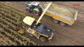 NewHolland FX450 Gebr. Collé mais hakselen