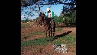 Soltero y Conquistador, Gabriel Briceño - "Melero"