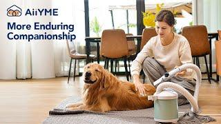 AiiYME Smart High Speed Pet Dryer：Making Pet Grooming Easier