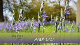 Xie Xie Ni De Ai lyrics - Andy Lau (Pinyin + English translation) Learn Chinese by songs