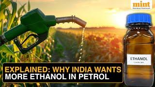 India Targets Over 20% Ethanol Blend In Petrol | Impact On Economy, Petrol Prices, & Environment