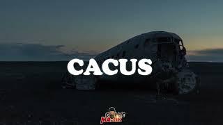 "Cacus" Tems x Burna boy x Omah Lay Type Beat - [Afrobeat 2022]