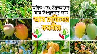 আম চাষে চাষিদের করনীয় | আম চাষ পদ্ধতি | Mango Cultivation Method