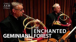 Geminiani: The Enchanted Forest | Movements 3–6 | Academy of Ancient Music