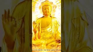 Nhạc Niệm Phật Mới//Nam Mô A Di Đà Phật 
