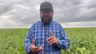 Jay Young Reading His Weeds