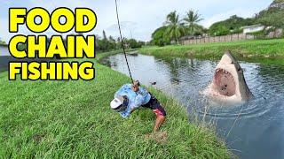 FOOD CHAIN FISHING | Monster Mike