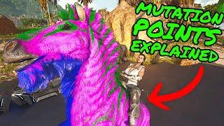 MUTATION POINTS in Ark Survival Ascended Explained! ASA Breeding/Mutation Guide!!!