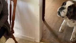 Dempsey has a new short term roommate.