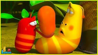 LARVA SEASON 1 EPISODE 100: Share food | MINI SERIES FROM ANIMATION LARVA |THE BEST OF FUNNY CARTOON