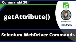 getAttribute() Command - Selenium WebDriver