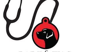 Cindy Myers, Animal Intuitive, has a virtual pet sitter business available to you over the holidays!