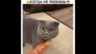 Как перестать это смотреть?