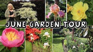 June Garden Tour || Stroll & a Chat about my Garden, Douentza