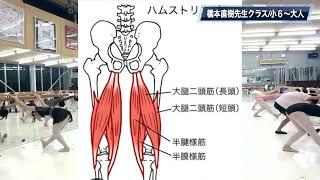 267【橋本直樹先生WS１ 小６〜大人】ウォーミングアップからプリエまで＃鹿児島のバレエ教室＃クラシックバレエフレイス