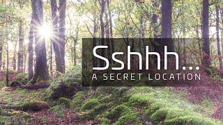 Landscape Photography - Sshhh Secret Location // Woodland Photography // The Lake District