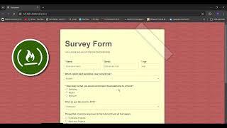 Creating a Survey Form with JavaScript Project | Interactive Forms | Web Design | Form Validation