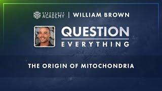 William Brown: The Origin Of Mitochondria