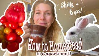 How to Homestead In an Apartment!