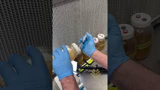 Myterra - How to do quality control of Mushroom Liquid Culture.