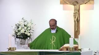 June 17 Holy Mass, St. Dominic Savio Parish