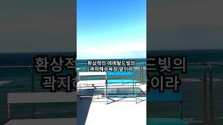 제주대표 오션뷰 베이커리카페 '애월빵공장' 히밥,맛녀석,슈돌등 TV출연맛집 #shorts